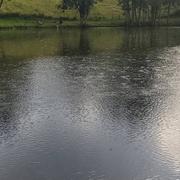 Le Fayard 04/07/2023