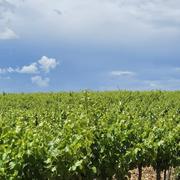 Vinsobres 06/07/2023