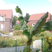 Vieux-Condé 06/07/2023