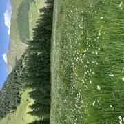 La Foux d'Allos 06/07/2023