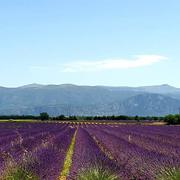 Montagnac-Montpezat 08/07/2023