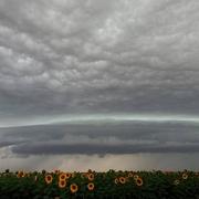 Épieds-en-Beauce 09/07/2023