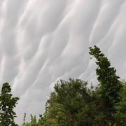 L'Isle-d'Abeau 11/07/2023