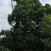 Andelnans 12/07/2023