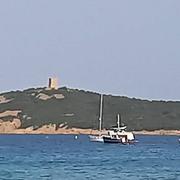 Pinarellu 12/07/2023