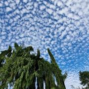 Vouthon-Haut 15/07/2023