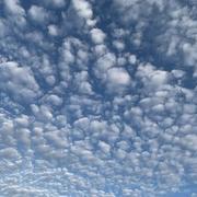 Surgères 18/07/2023