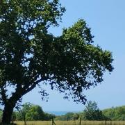 Bréville-sur-Mer 19/07/2023