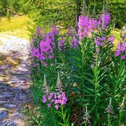 Castérino 24/07/2023