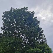 Saint-Paul-Mont-Penit 02/08/2023