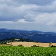 Saint-Haon 04/08/2023