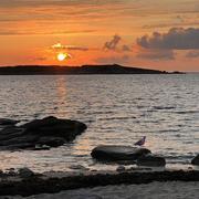 Île-Grande 07/08/2023