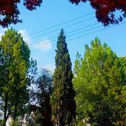 Islamabad 09/08/2023