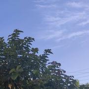 Port-Saint-Louis-du-Rhône 10/08/2023