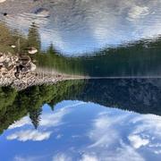 Lac Noir (Vosges) 10/08/2023