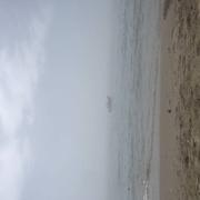 Portiragnes 12/08/2023