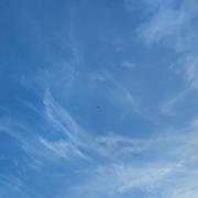 Veuxhaulles-sur-Aube 12/08/2023