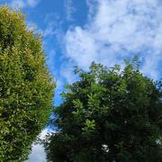 Bruyères-sur-Oise 13/08/2023