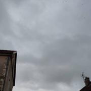 Veuxhaulles-sur-Aube 14/08/2023