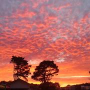 Les Moutiers-en-Retz 16/08/2023