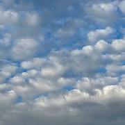 Morigny-Champigny 18/08/2023