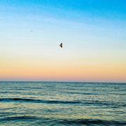 Saintes-Maries-de-la-Mer 21/08/2023