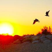 Saintes-Maries-de-la-Mer 21/08/2023