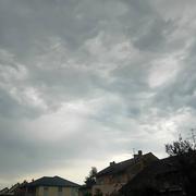 Willerwald 24/08/2023