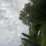 Fontainebleau 24/08/2023