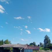 Willerwald 25/08/2023