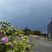 Montmorillon 26/08/2023