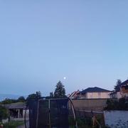 Willerwald 26/08/2023