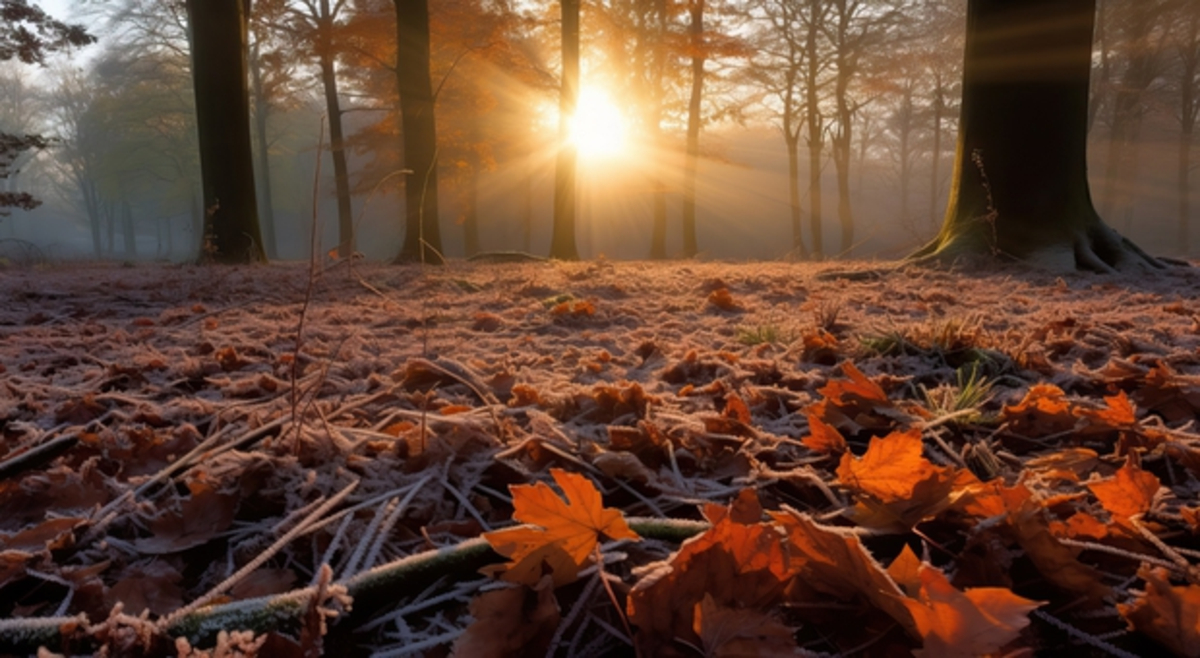 Saisons : l'automne météorologique débute ce dimanche 1er septembre