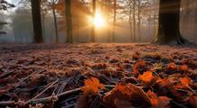 Saisons : l'automne météorologique débute mardi 1er septembre