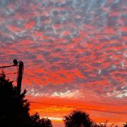 Les Moutiers-en-Retz 02/09/2023