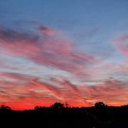 Zarbeling 03/09/2023