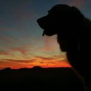 Montreuil 04/09/2023