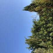 Salles-d'Aude 07/09/2023