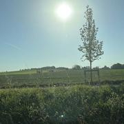 Épinay-Champlâtreux 09/09/2023