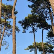 Contis-Plage 20/09/2023