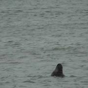 Cosqueville 21/09/2023