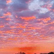 Plumaudan 26/09/2023