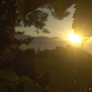 Sainte-Jalle 28/09/2023