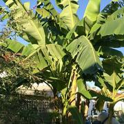 Cambo-les-Bains 02/10/2023