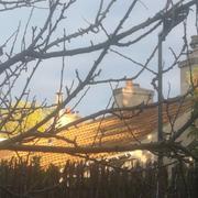 Villebon-sur-Yvette 14/10/2023