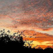 Coye-la-Forêt 16/10/2023