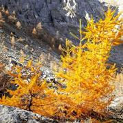 Puy Saint Vincent 17/10/2023