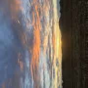 Hagetaubin 17/10/2023