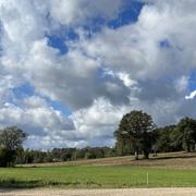 Rougemont 18/10/2023