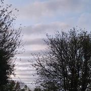 Haute-Serre 24/10/2023